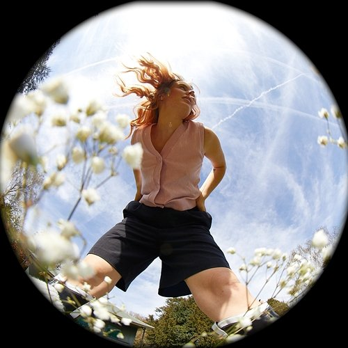 Lilypad Charlotte Clark