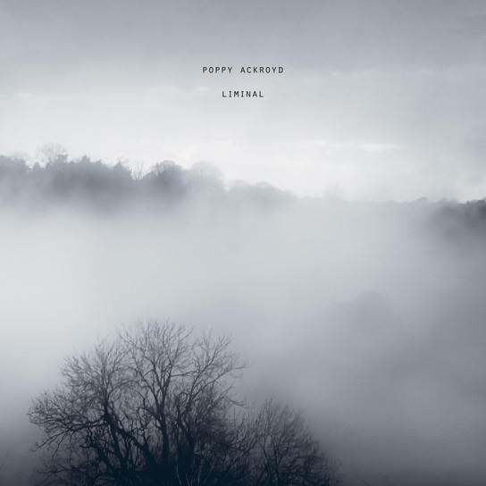 LIMINAL, płyta winylowa Various Artists