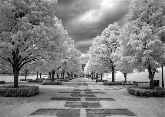 Lincoln memorial park in Washington D.C., Carol Highsmith - plakat 50x40 cm Galeria Plakatu