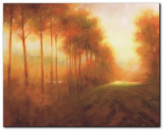 Line Of Trees At Dawn plakat obraz 30x24cm Wizard+Genius