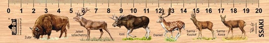 Linijka drewniana, ssaki duże, 20 cm Puls-Art