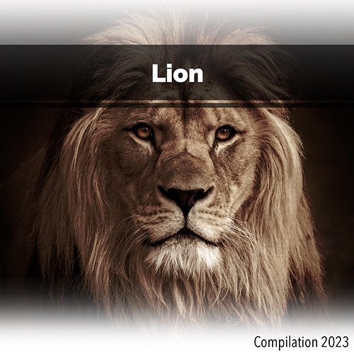 Lion Compilation 2023 John Toso, Mauro Rawn, Benny Montaquila Dj