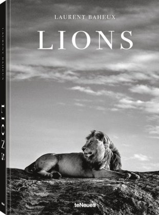 Lions Laurent Baheux