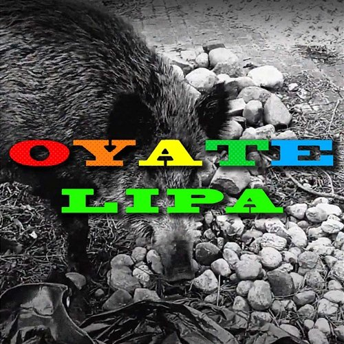 Lipa OYATE