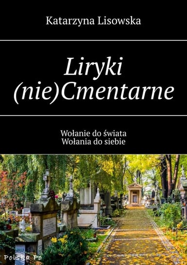 Liryki (nie)cmentarne Lisowska Katarzyna