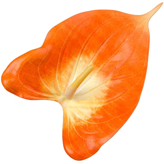 Liść Ozdobny Anturium Glory Pomarańczowo-Żółty Siima
