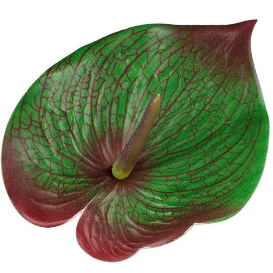 Liść Ozdobny Anturium Mordido Zielono-Czerwony Siima