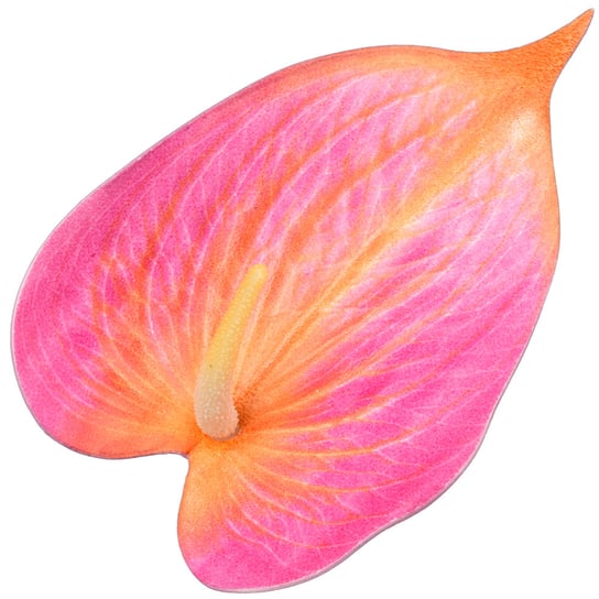 Liść Ozdobny Anturium Purpurowo-Pomarańczowy Siima