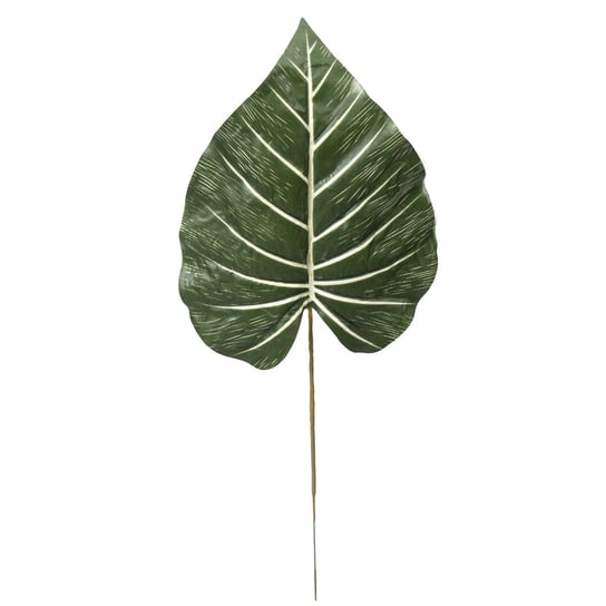 Liść Pothosu Ozdobny Zielony Siima