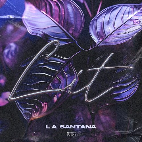 LIT L.A Santana
