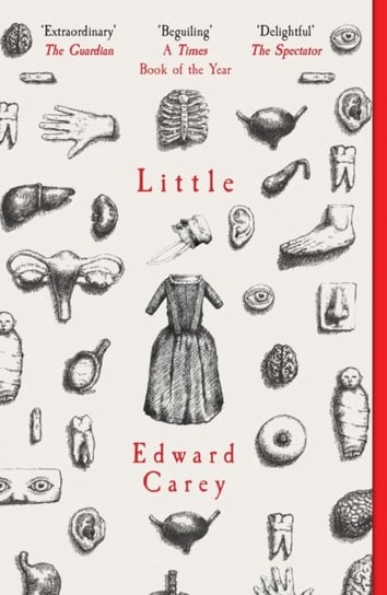 Little: A Times and Sunday Times Book of the Year Carey Edward