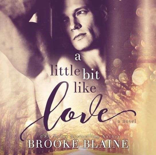 Little Bit Like Love Blaine Brooke