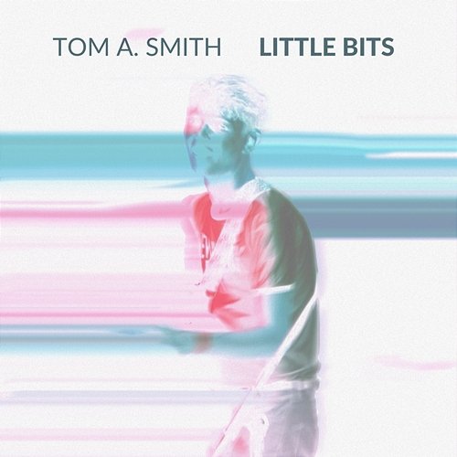 Little Bits Tom A. Smith