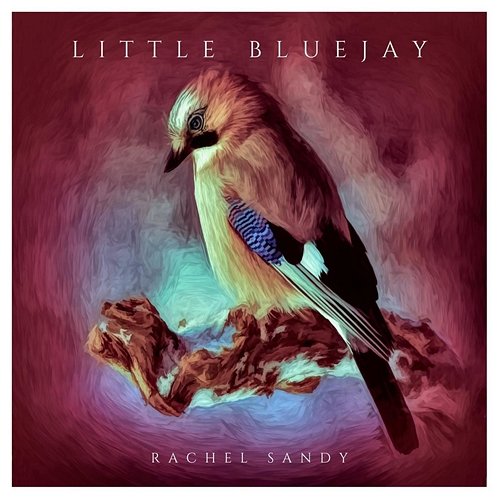Little Bluejay Rachel Sandy