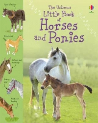 Little Book of Horses and Ponies Khan Sarah