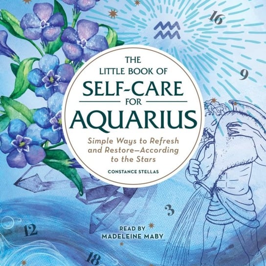 Little Book of Self-Care for Aquarius Stellas Constance