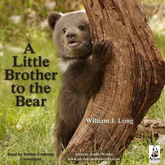 Little Brother to the Bear, and Other Animal Stories Long William J.