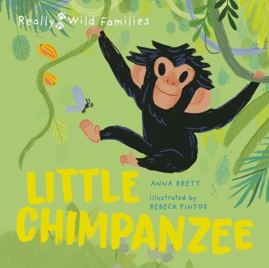 Little Chimpanzee: A Day in the Life of a Baby Chimp Brett Anna