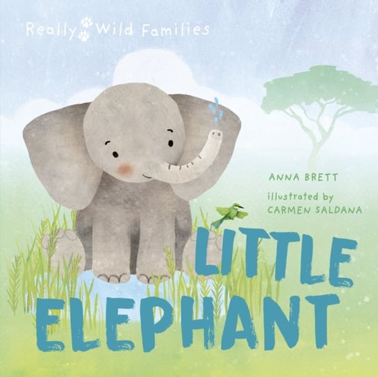 Little Elephant: A Day in the Life of a Elephant Calf Brett Anna