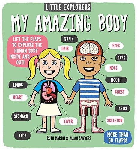 Little Explorers: My Amazing Body Allan Sanders