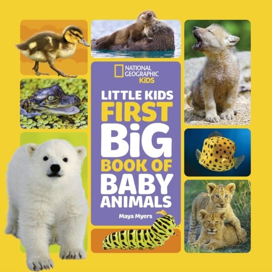 Little Kids First Big Book of Baby Animals Opracowanie zbiorowe