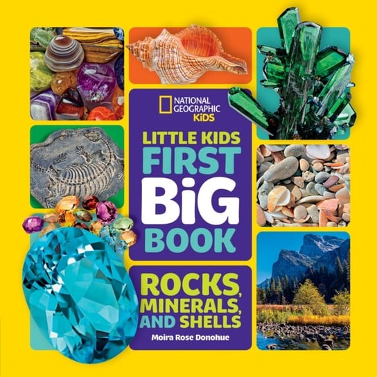 Little Kids First Big Book of Rocks, Minerals and Shells Opracowanie zbiorowe