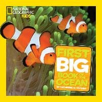 Little Kids First Big Book of the Ocean Hughes Catherine D.