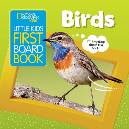 Little Kids First Board Book. Birds Opracowanie zbiorowe
