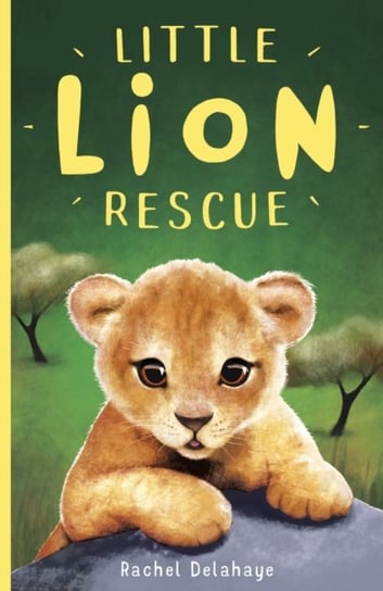Little Lion Rescue Delahaye Rachel