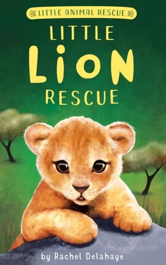 Little Lion Rescue Rachel Delahaye