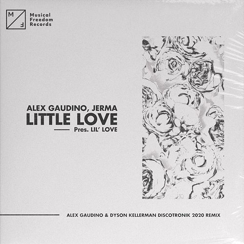 Little Love (pres. Lil' Love) Alex Gaudino, Jerma