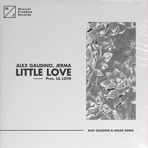 Little Love (pres. Lil' Love) Alex Gaudino, Jerma