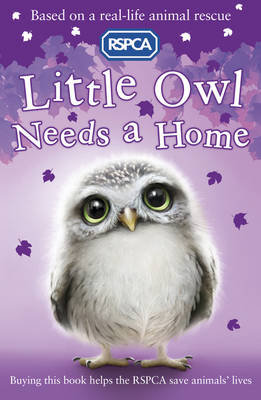 Little Owl Needs A Home Mongredien Sue