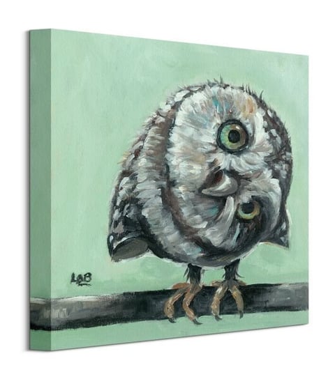 Little Owl - obraz na płótnie Pyramid International