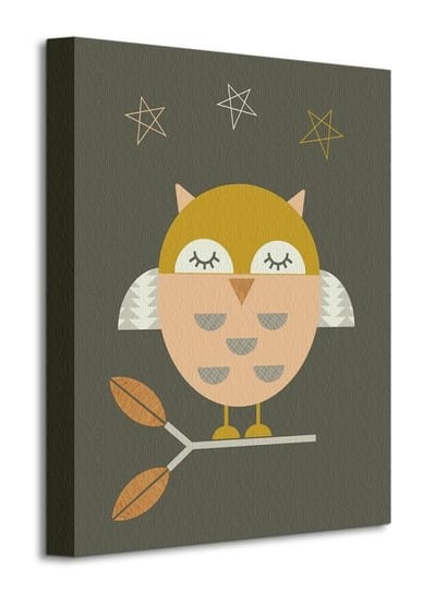 Little Owl - obraz na płótnie Pyramid International