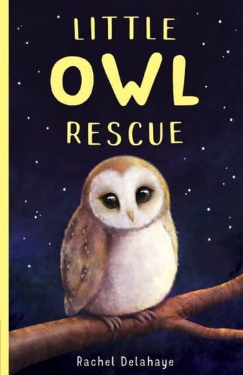 Little Owl Rescue Delahaye Rachel