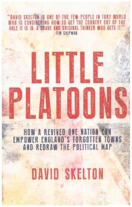 Little Platoons: How a revived One Nation can empower England's forgotten towns and redraw the political map David Skelton