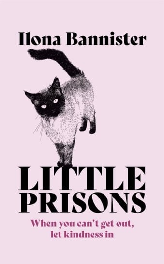 Little Prisons Ilona Bannister