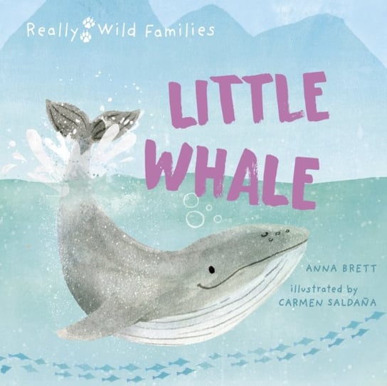 Little Whale: A Day in the Life of a Whale Calf Brett Anna