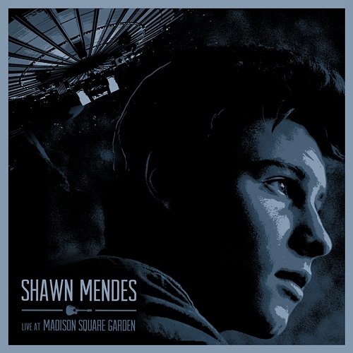 Live At Madison Square Garden Shawn Mendes
