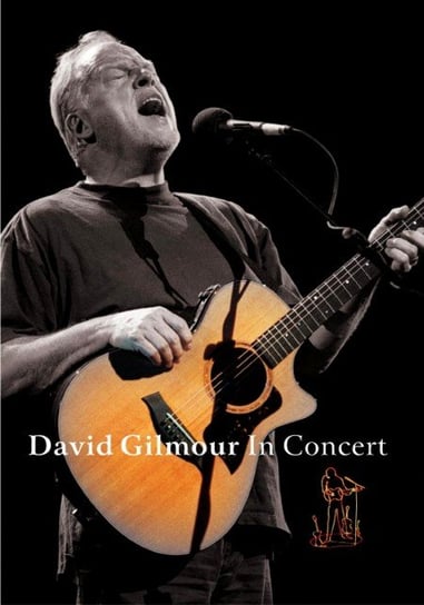 Live at the Festival Hall Gilmour David