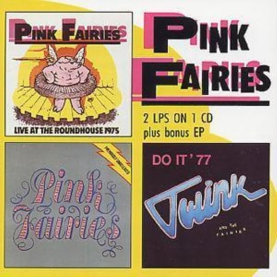 Live At The Roundhouse Pink Fairies