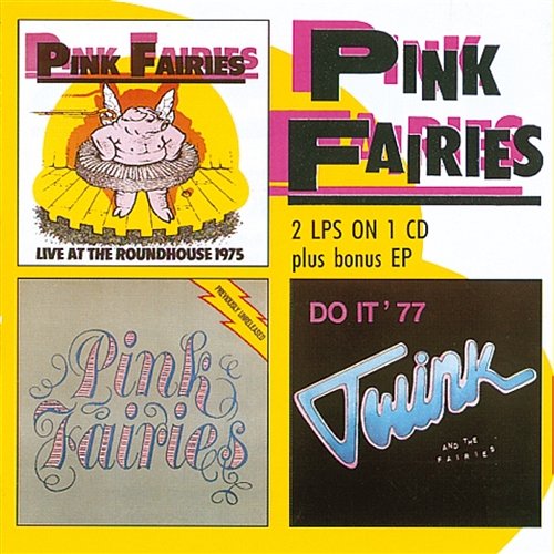 Live At The Roundhouse/Previously Unreleased/Do It The Pink Fairies