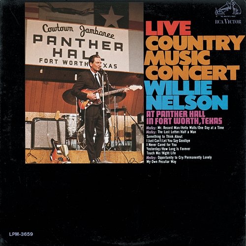 Live Country Music Concert Willie Nelson