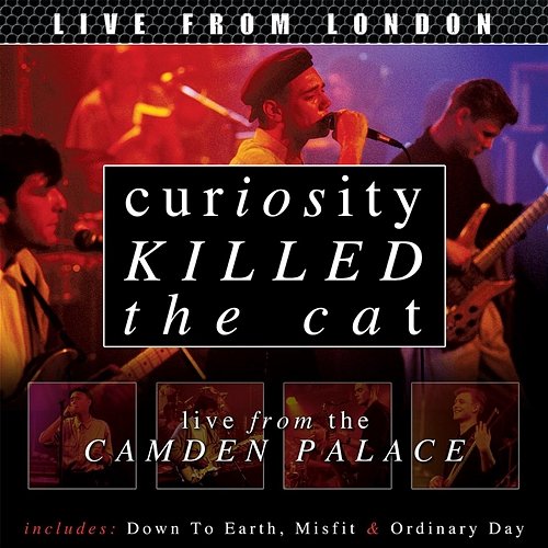 Live From London Curiosity Killed The Cat