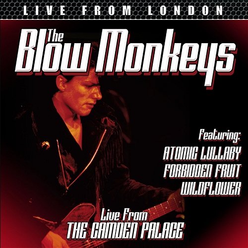 Live From London The Blow Monkeys
