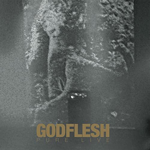 Live Godflesh-Pure Live Various Artists