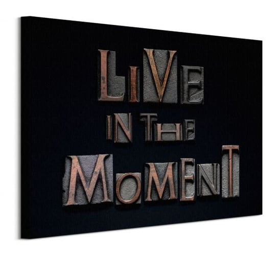 Live in the Moment - obraz na płótnie Pyramid International