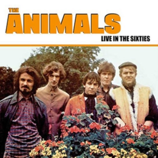 Live In The Sixties The Animals