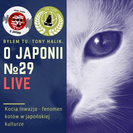 LIVE: Kocia inwazja - fenomen kotów w japońskiej kulturze - O Japonii - podcast Sokołowska Joanna, Rzentarzewski Konrad